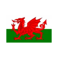 Wales U19