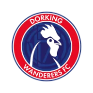Dorking Wanderers