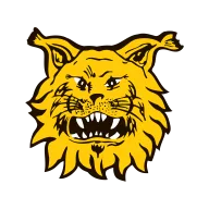 Ilves II