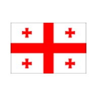 Georgia U17