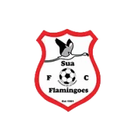 Sua Flamingoes