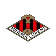 Minerul Lupeni